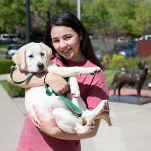 Meet your Posher, Allie